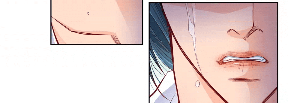 第219页